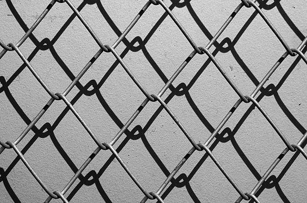 Slatted Chain Link Fence