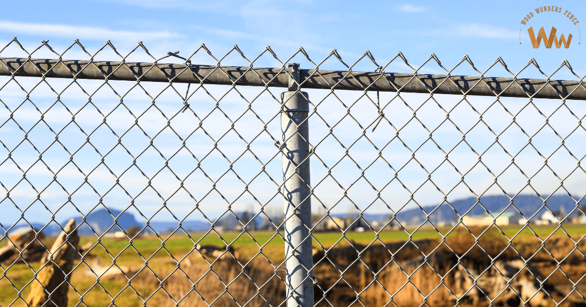 Chain Link Fencing